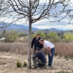 Sol Puntano brindó asistencia técnica a un productor de nueces