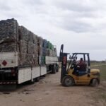 Se recuperaron más de 11 toneladas de plástico